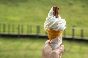 Ice Cream Van Licence - Shows an ice cream cone