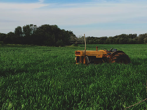Old orange tractor in a field