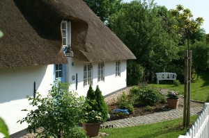 Thatched Property Insurance