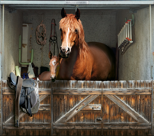 Renting out your horsebox