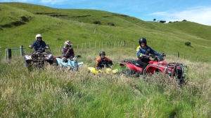 quad bike insurance - Shows a group of ATV's in a field