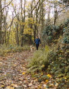A person walking their dog in a forest