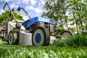 Allotment facts - Shows a lawnmower on the grass