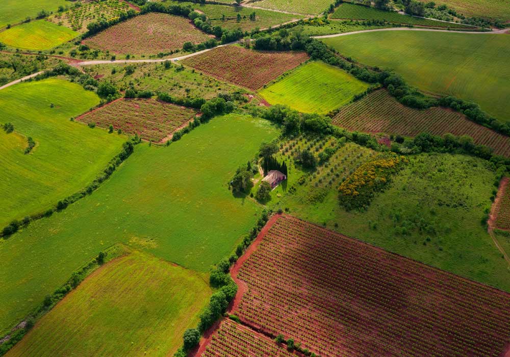 Private land insurance - Shows rows of country fields