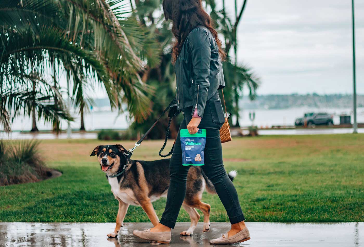 A woman walking a dog in the rain