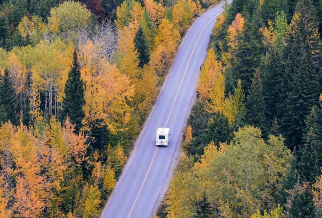 Shows a motorhome driving along a forest road