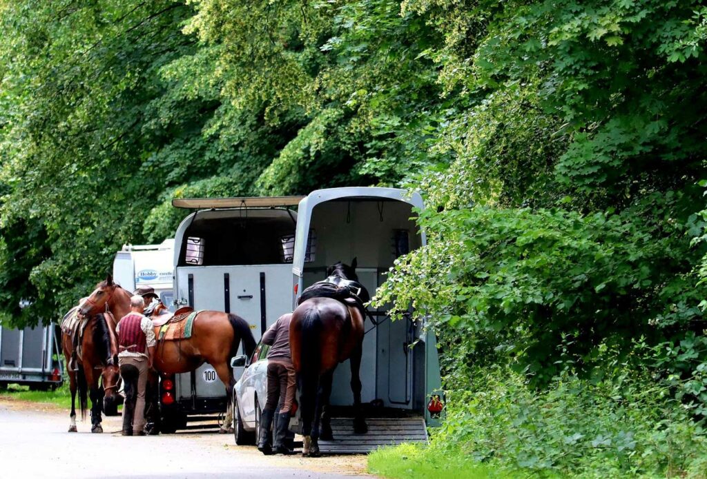 Equine trailer insurance - Shows people loading horses into a trailer